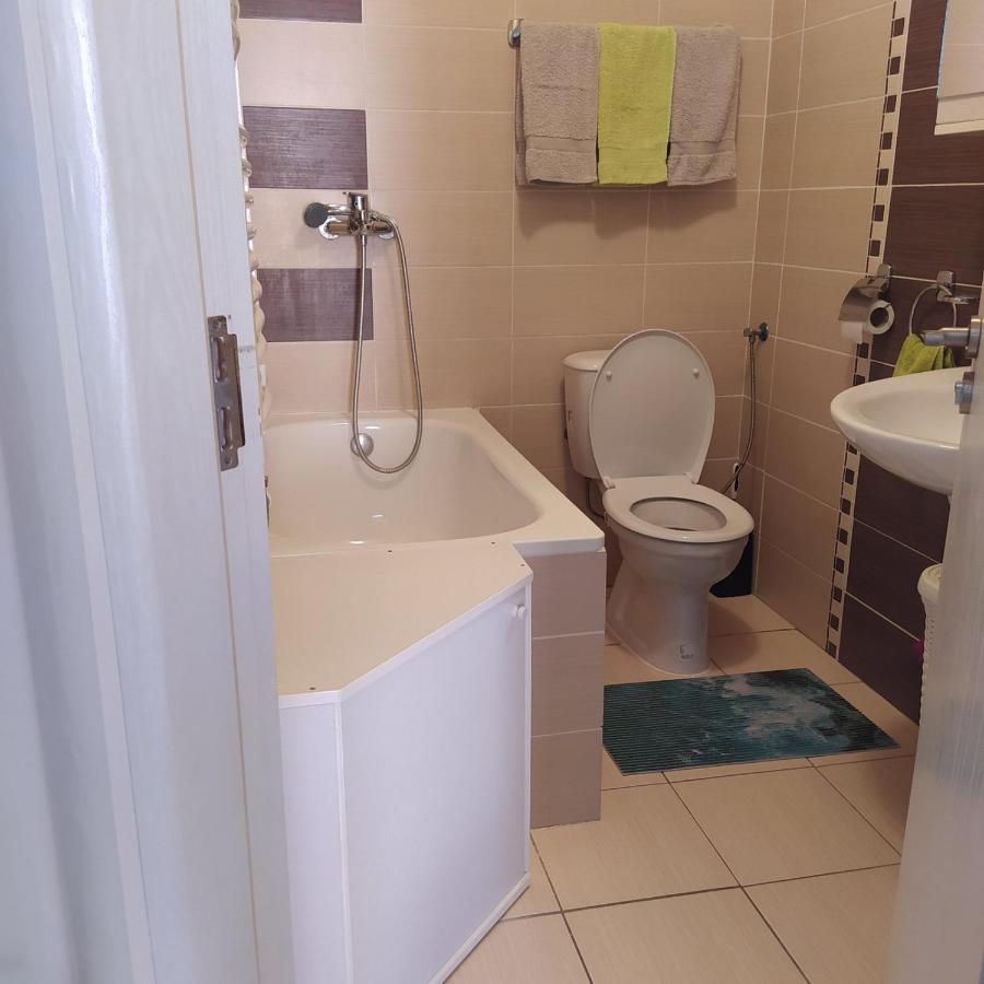 Daniris apartman Novi Sad Bagian luar foto