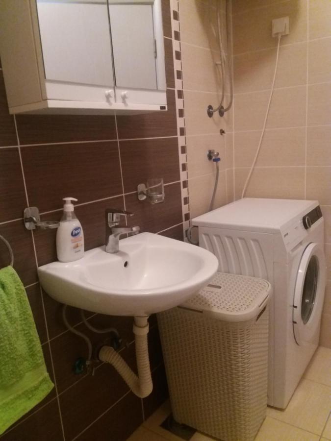 Daniris apartman Novi Sad Bagian luar foto
